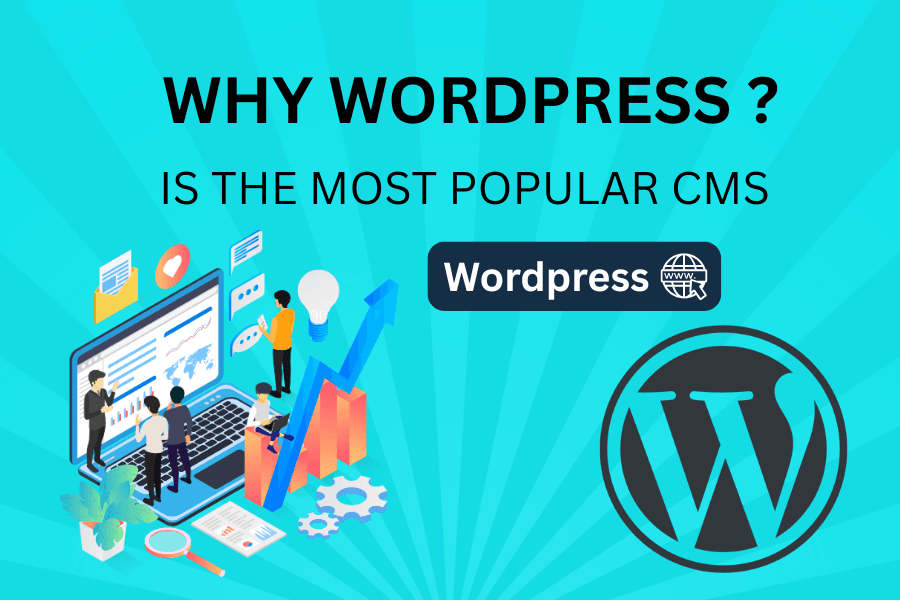 Why You Should Choose WordPress